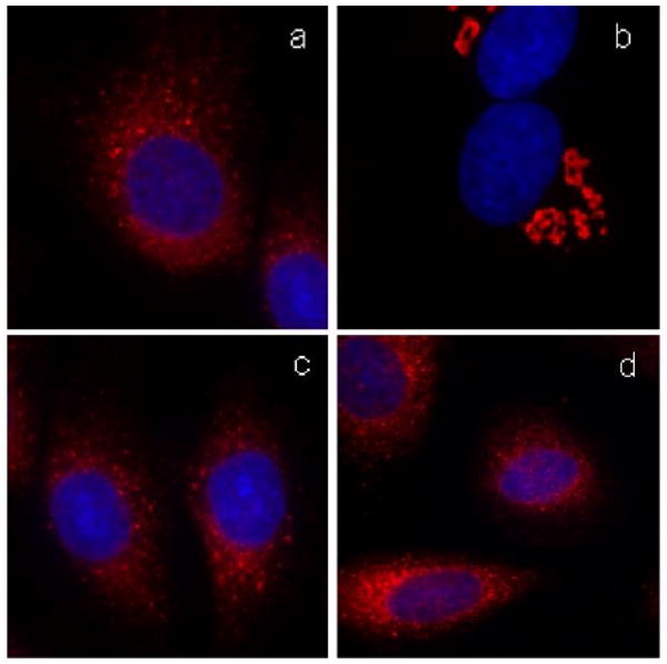 Fig. 11