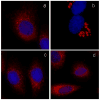 Fig. 11