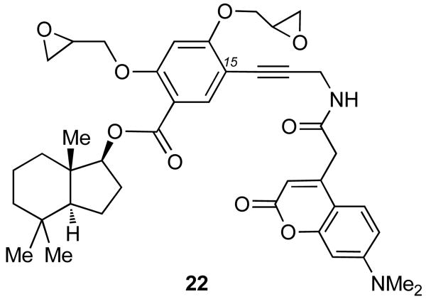 Fig. 14