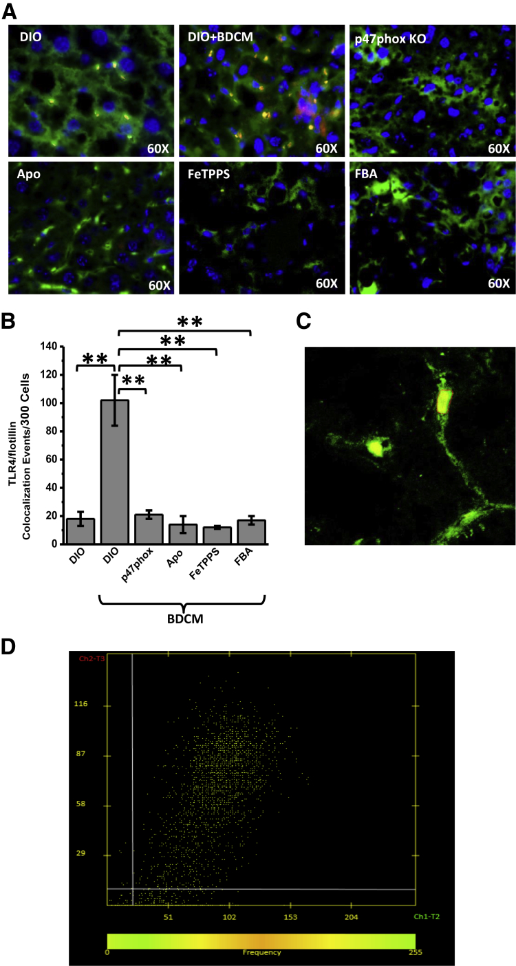 Figure 2