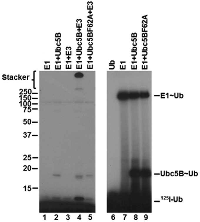 Figure 6.