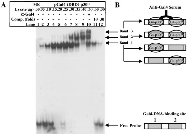 FIG. 3