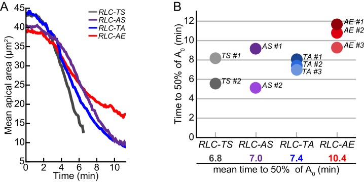 Figure 4—figure supplement 1.