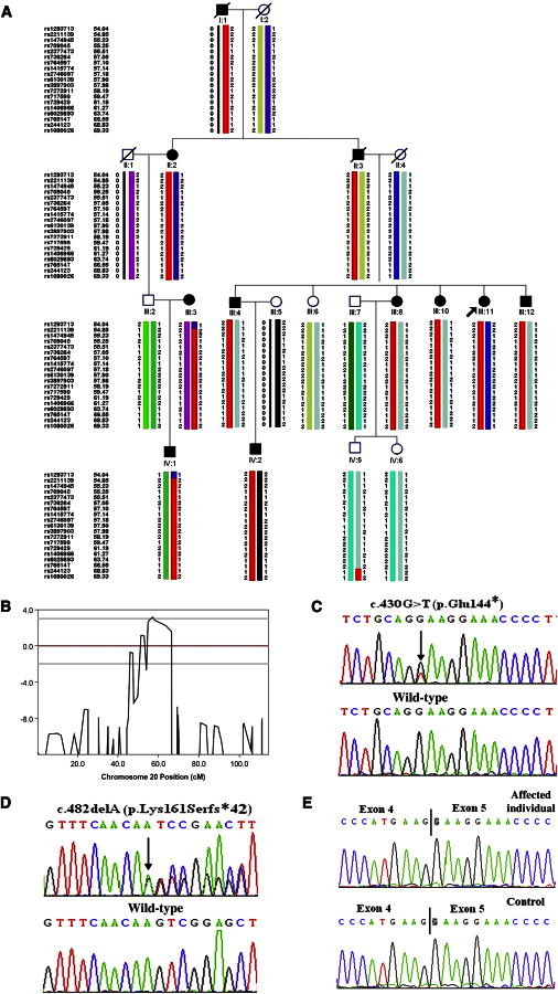 Figure 3