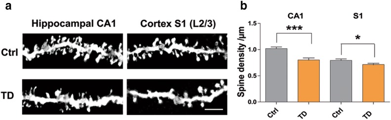 Fig. 3