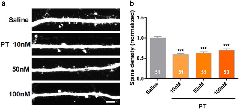 Fig. 2