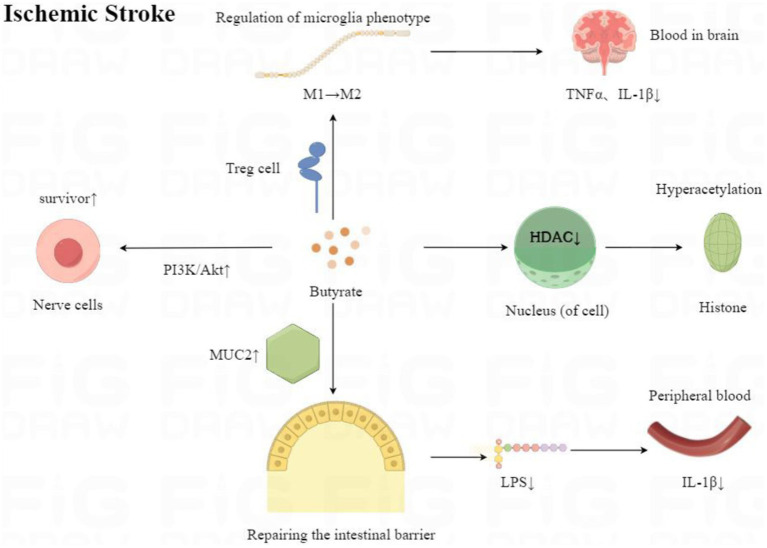 Figure 15