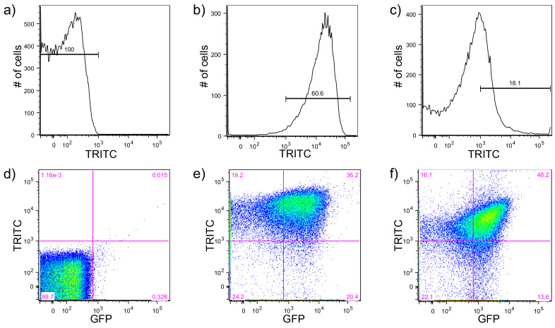 Figure 1—figure supplement 7.