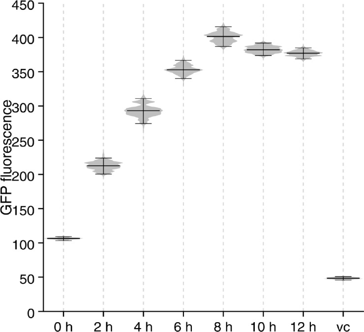 Figure 1—figure supplement 4.