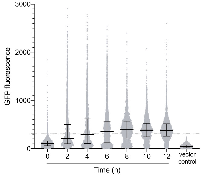 Figure 1—figure supplement 3.