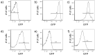 Figure 1—figure supplement 5.