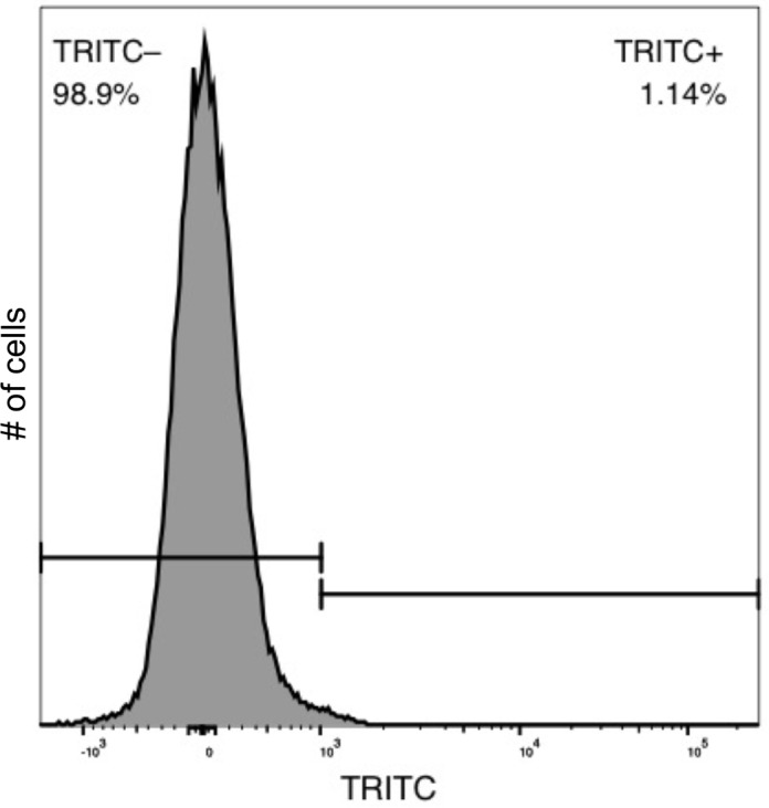 Figure 1—figure supplement 9.