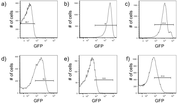 Figure 1—figure supplement 5.