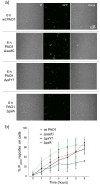 Figure 2—figure supplement 1.