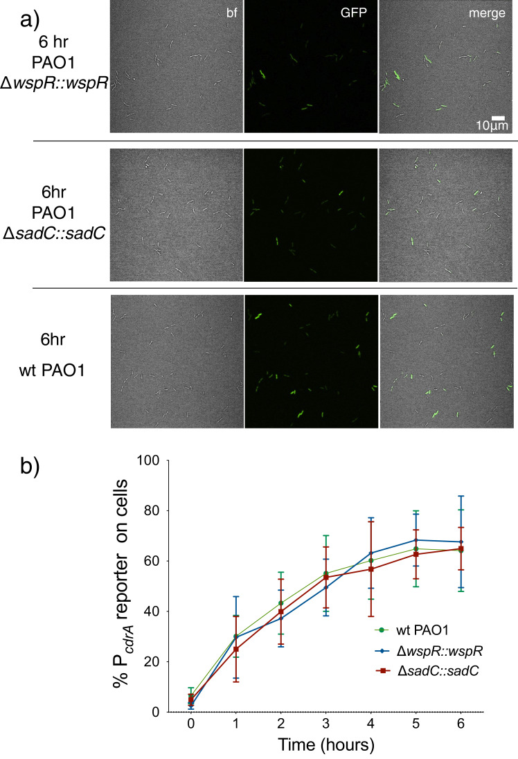 Figure 2—figure supplement 3.