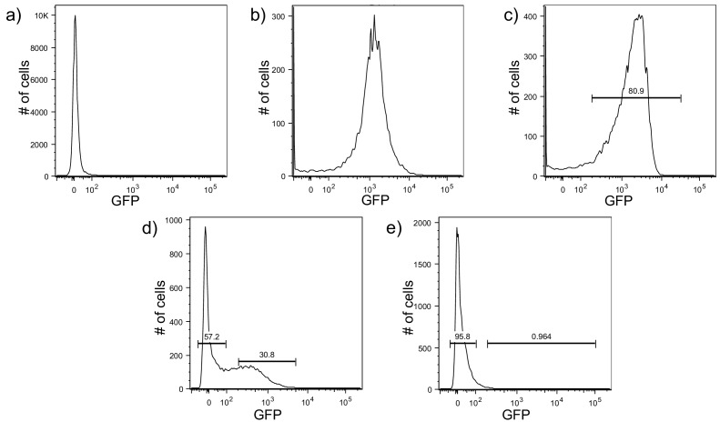 Figure 1—figure supplement 8.