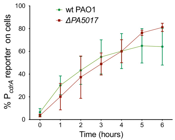 Figure 2—figure supplement 5.