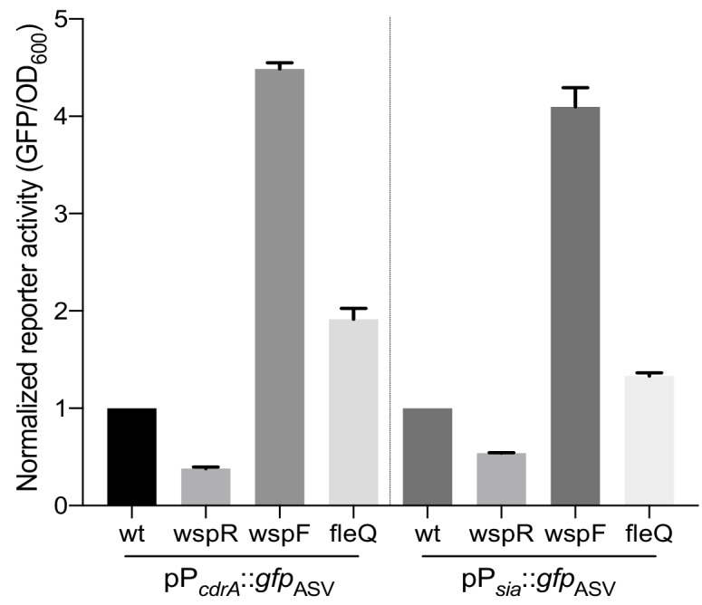 Figure 1—figure supplement 6.