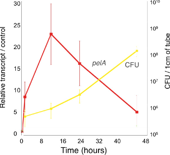 Figure 1—figure supplement 1.