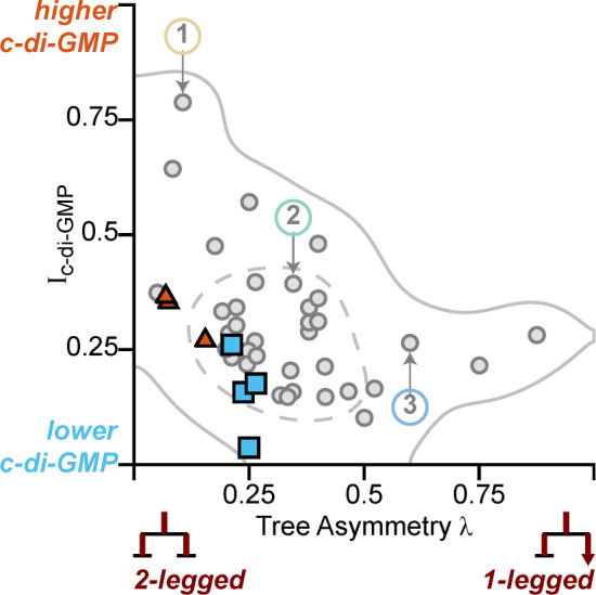 Figure 5—figure supplement 3.