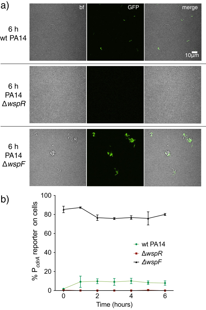 Figure 2—figure supplement 4.