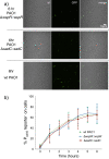 Figure 2—figure supplement 3.