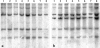 F<sc>igure</sc> 3.—