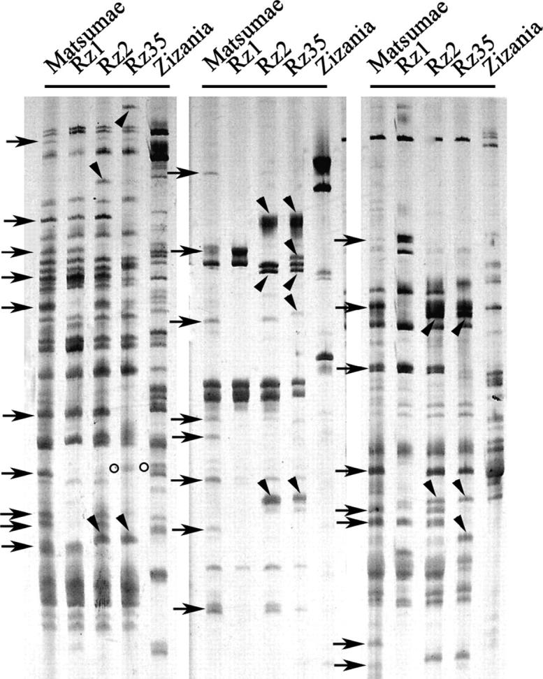 Figure 1.—