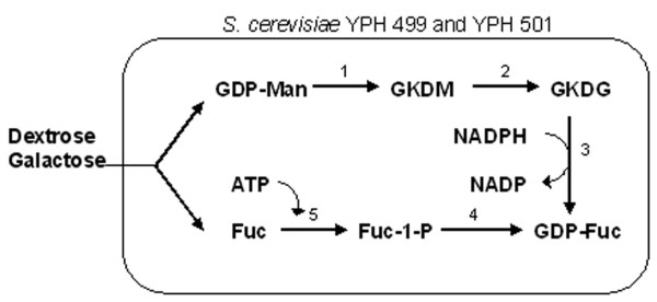 Figure 8