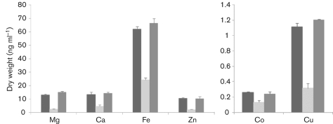 Fig. 3. 