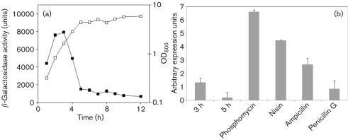 Fig. 1. 