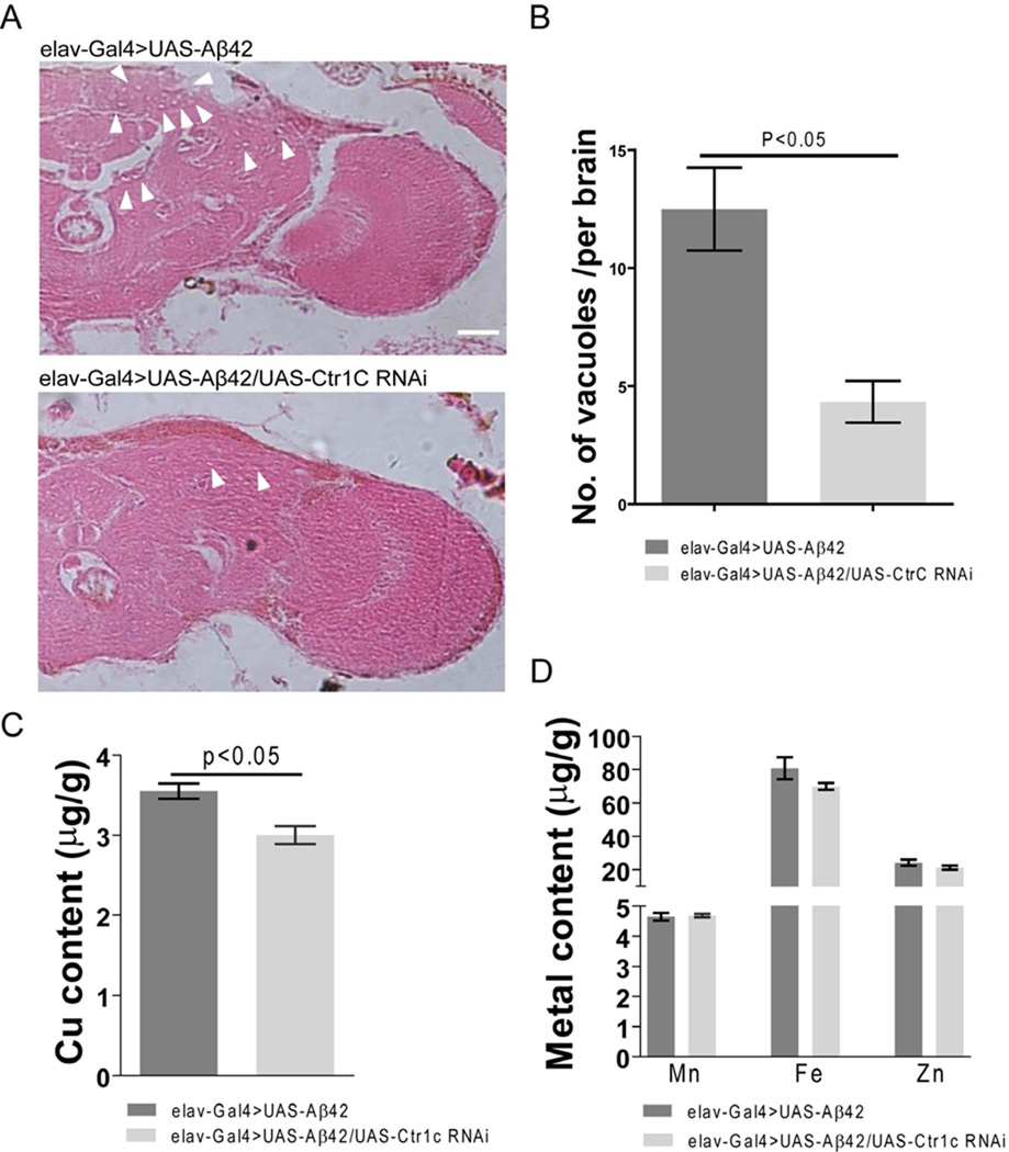 Fig. 3