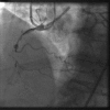 Fig. (5)