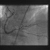 Fig. (6)