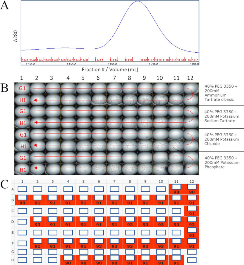 Fig 6