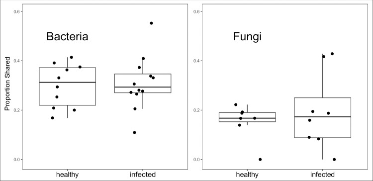 Fig 9