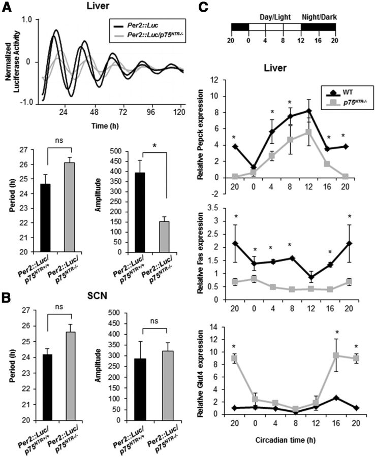 Figure 10.