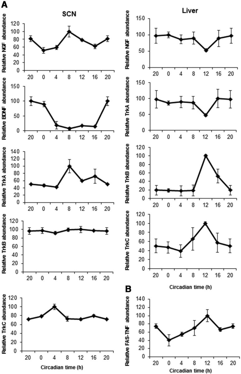 Figure 5.