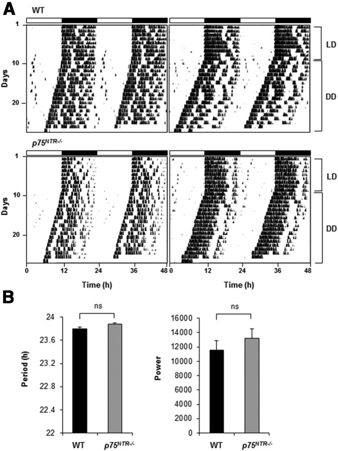 Figure 9.