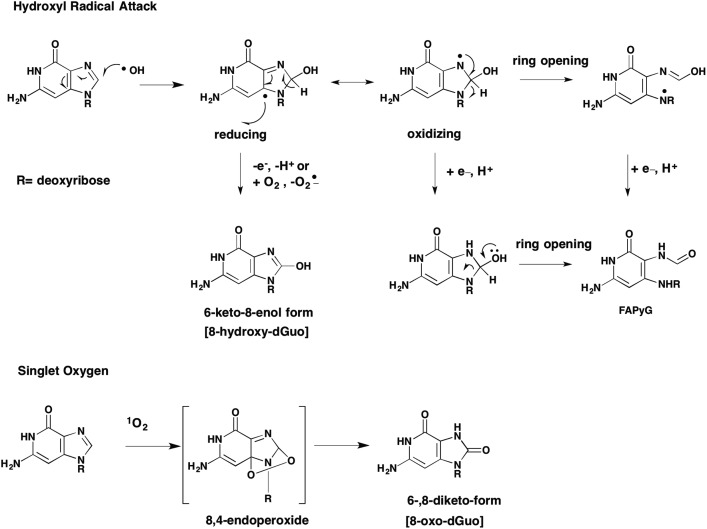 Fig. 7