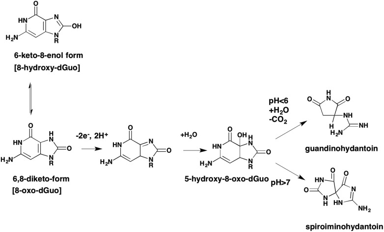 Fig. 8