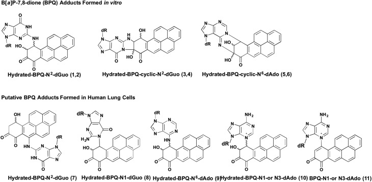 Fig. 11