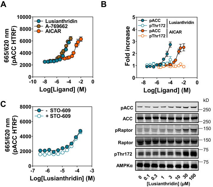 Figure 3