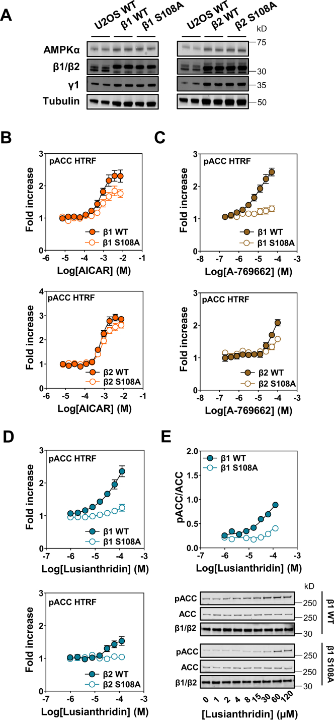 Figure 5