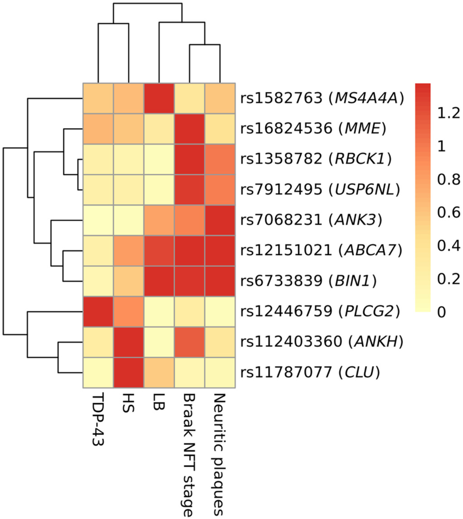 Fig. 3.