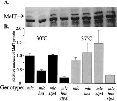 FIG. 5