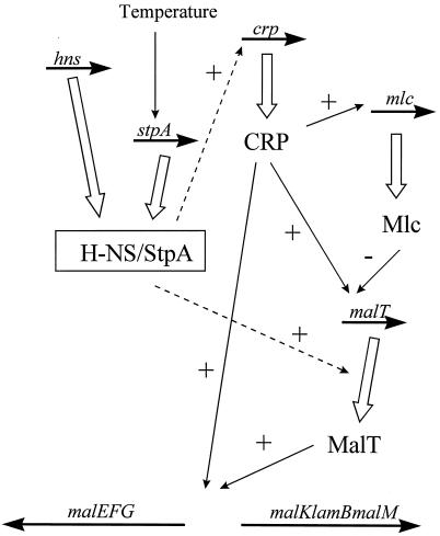 FIG. 8