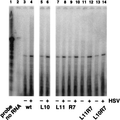 FIG. 10