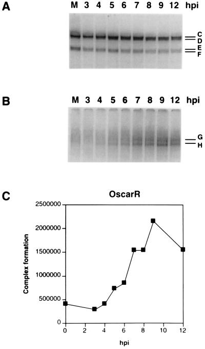 FIG. 5