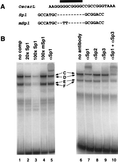 FIG. 7